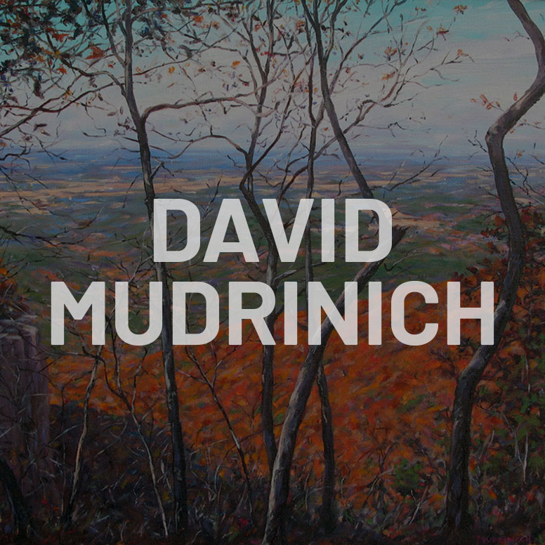 David Mudrinich Temp Pic